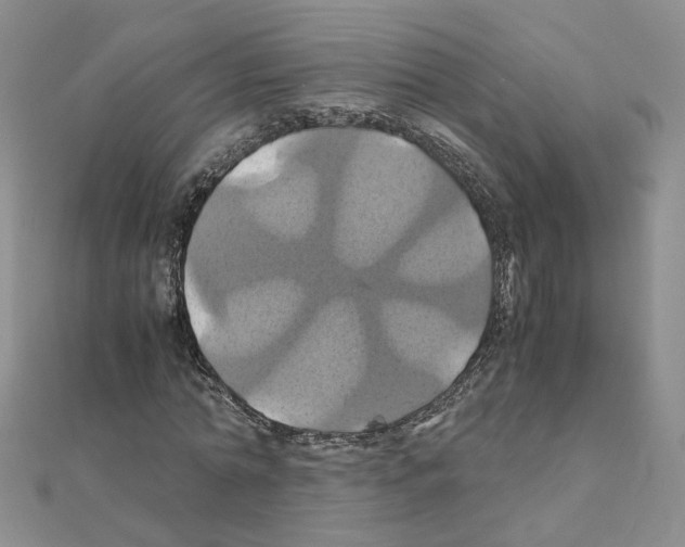 X0000110990774200907311009