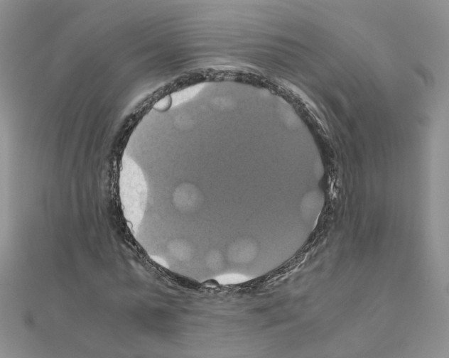 X0000110990775200907311009
