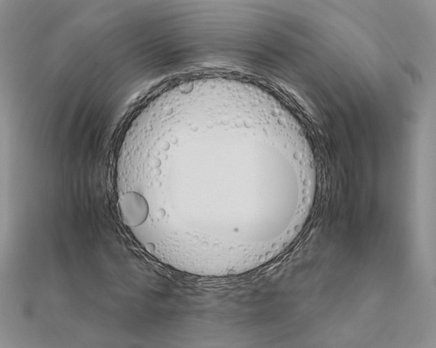X0000110990776200907311009