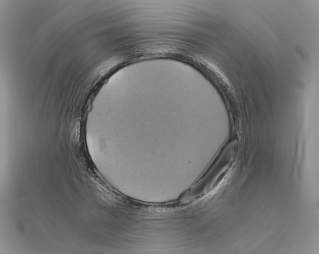 X0000110990777200907311009