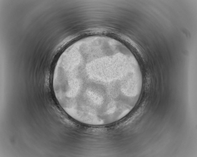 X0000110990778200907311009