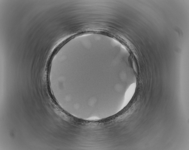 X0000110990779200907311009