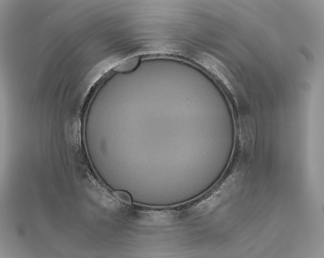 X0000110990781200907311009