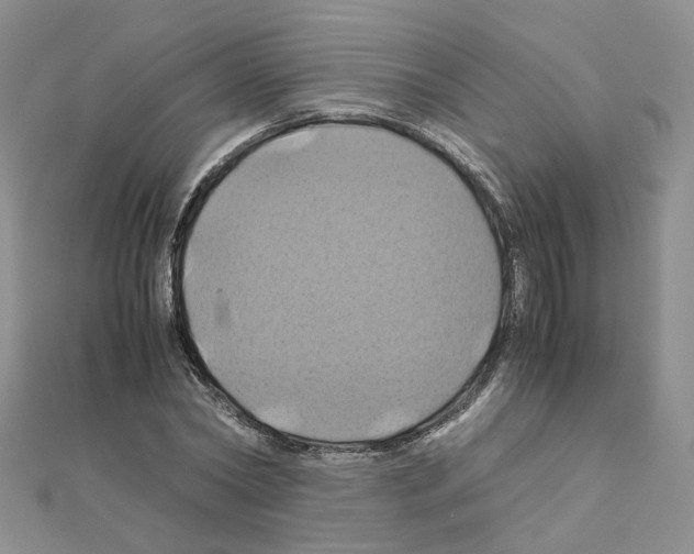X0000110990782200907311009