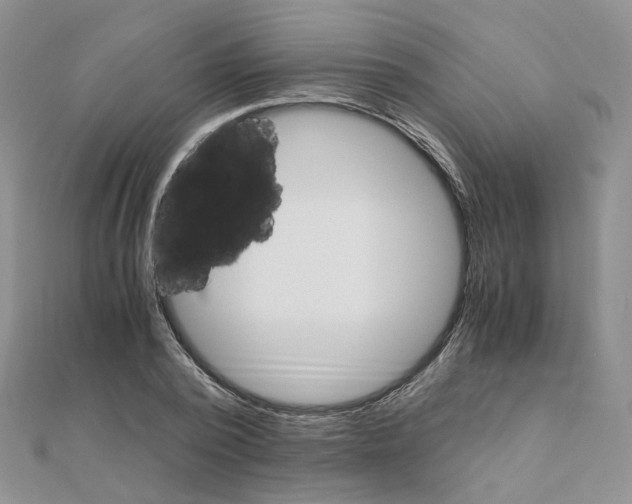 X0000110990784200907311009