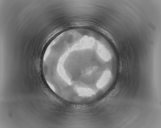 X0000110990786200907311009