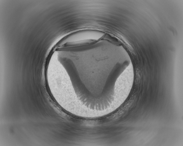 X0000110990788200907311009