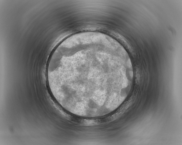 X0000110990794200907311009