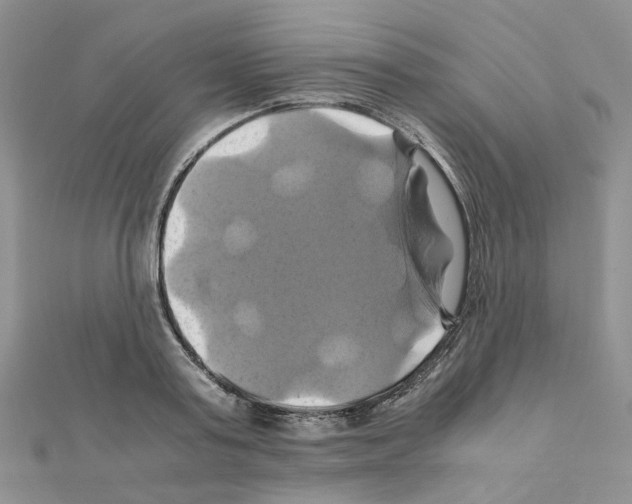 X0000110990795200907311009