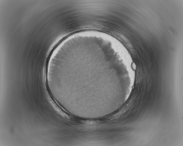 X0000110990796200907311009