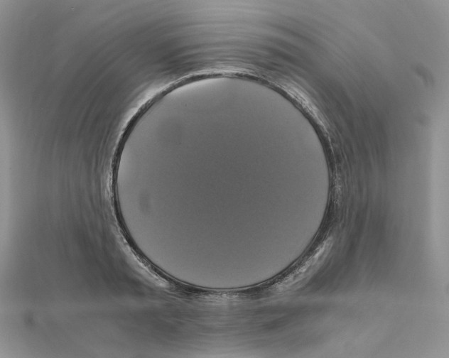X0000110990797200907311009