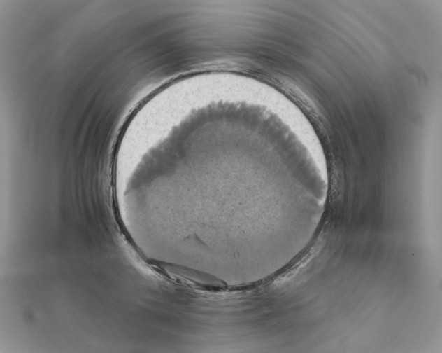 X0000110990800200907311009