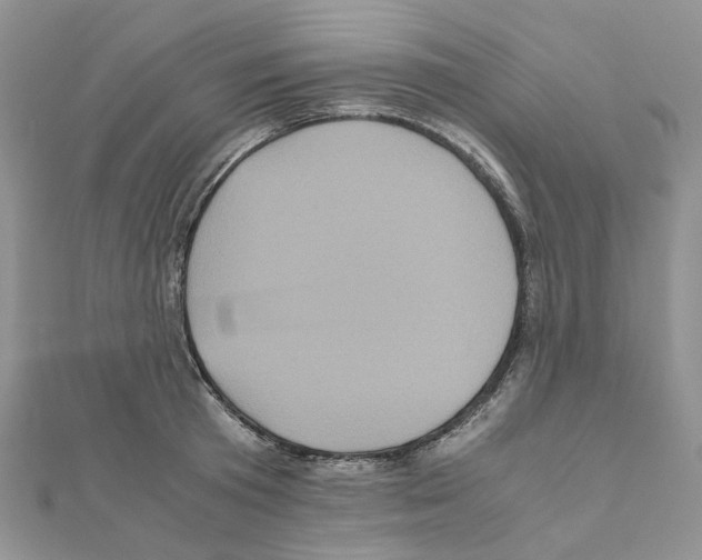 X0000110990801200907311009