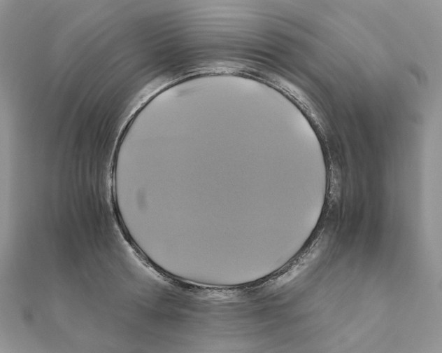 X0000110990802200907311009