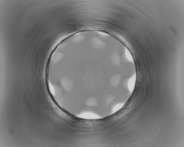 X0000110990803200907311009