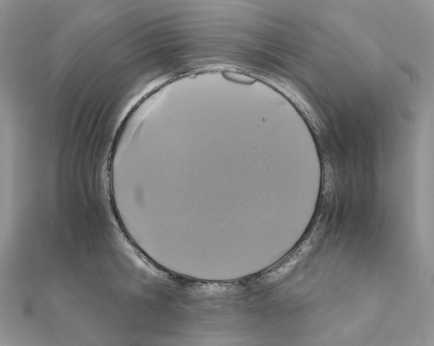X0000110990806200907311009