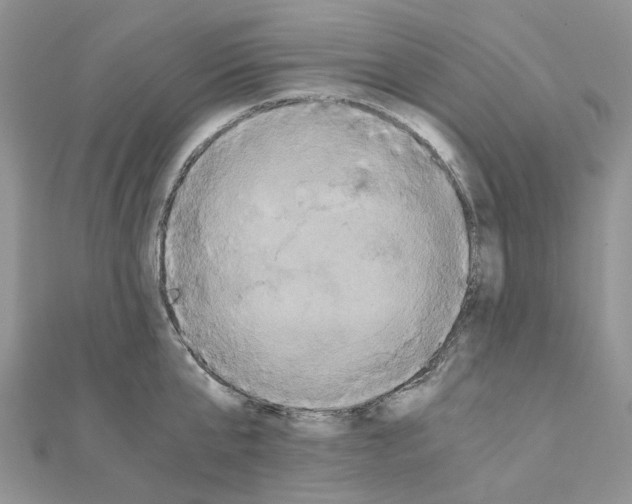 X0000110990807200907311009