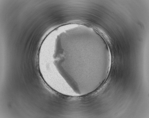 X0000110990808200907311009