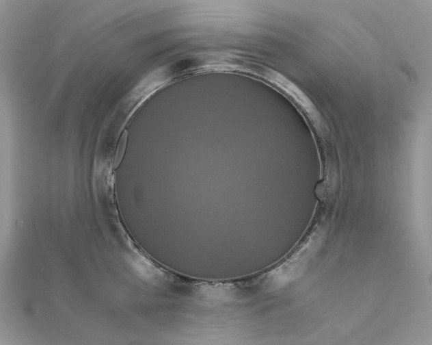 X0000110990809200907311009