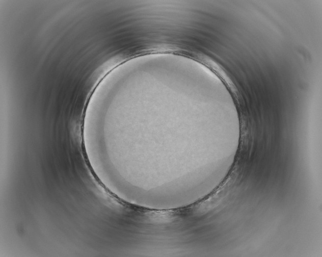 X0000110990810200907311009
