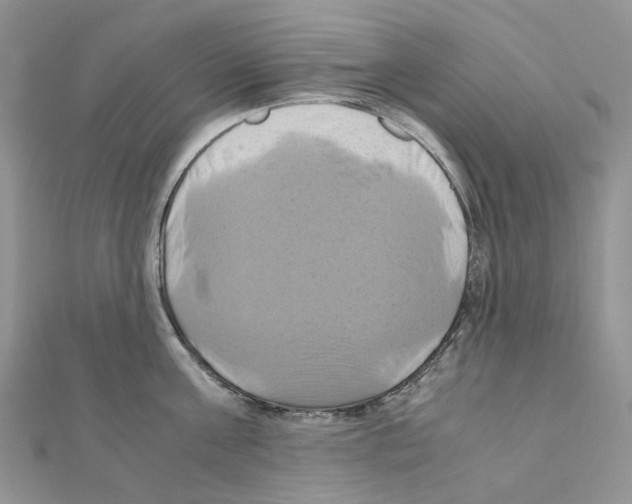 X0000110990811200907311009