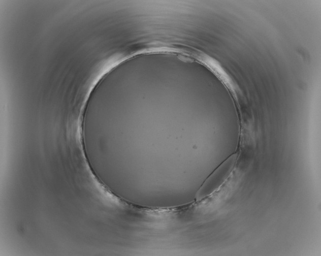 X0000110990813200907311009