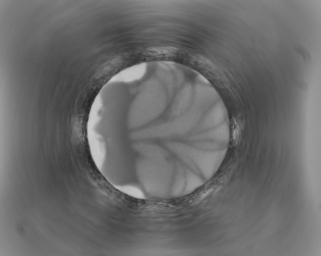 X0000110990819200907311008
