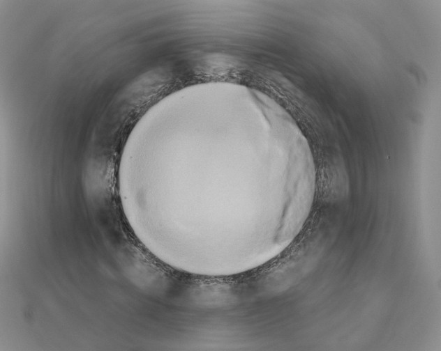 X0000110990820200907311008