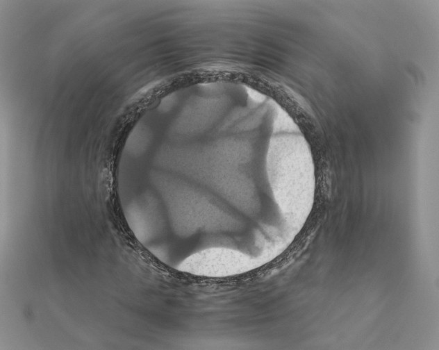 X0000110990821200907311008