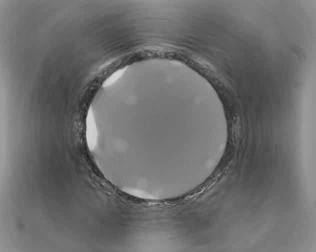 X0000110990822200907311008