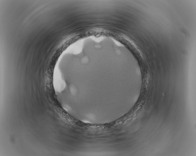 X0000110990823200907311008