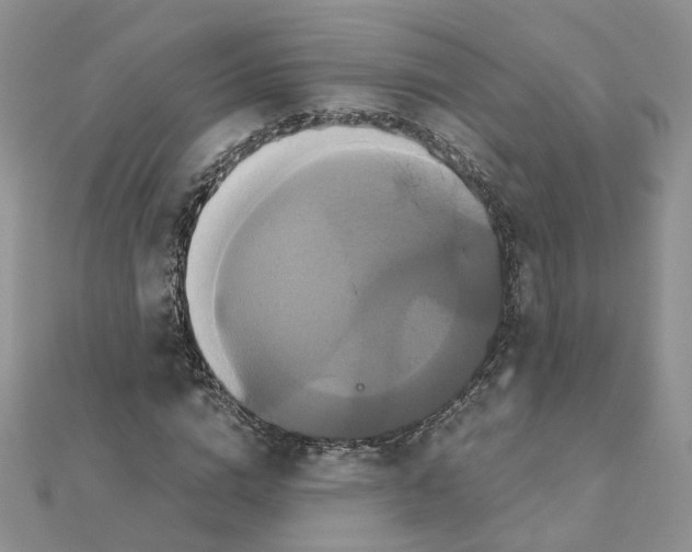 X0000110990824200907311008