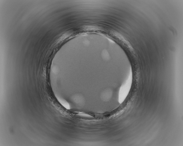 X0000110990825200907311008