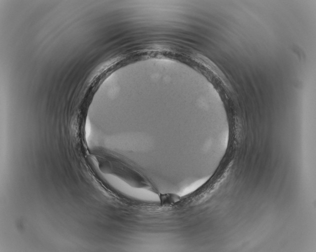 X0000110990826200907311008