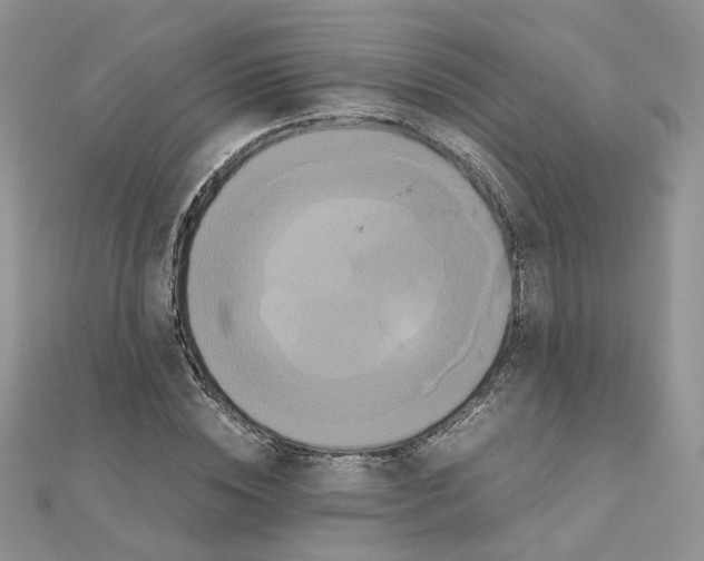 X0000110990828200907311008