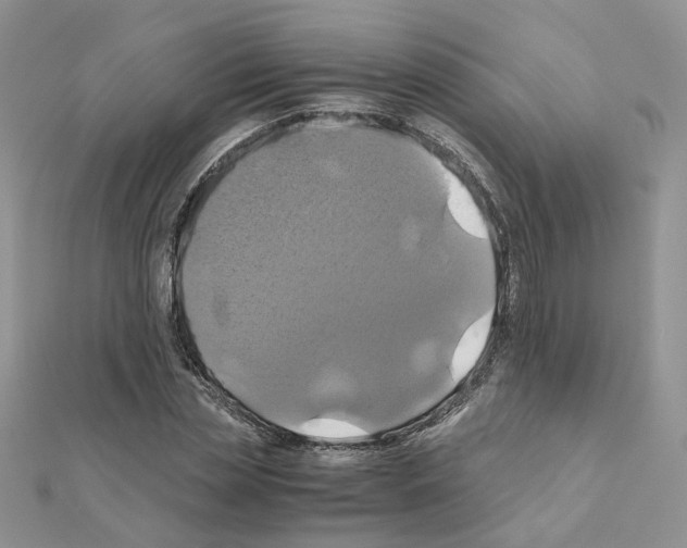 X0000110990829200907311008