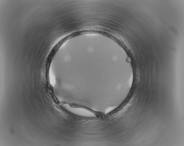 X0000110990830200907311008