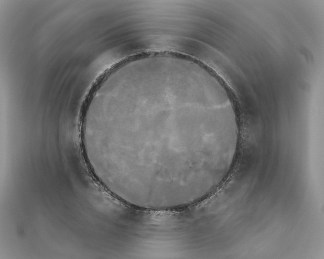 X0000110990832200907311008