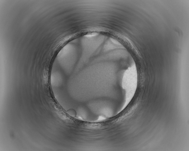 X0000110990833200907311008