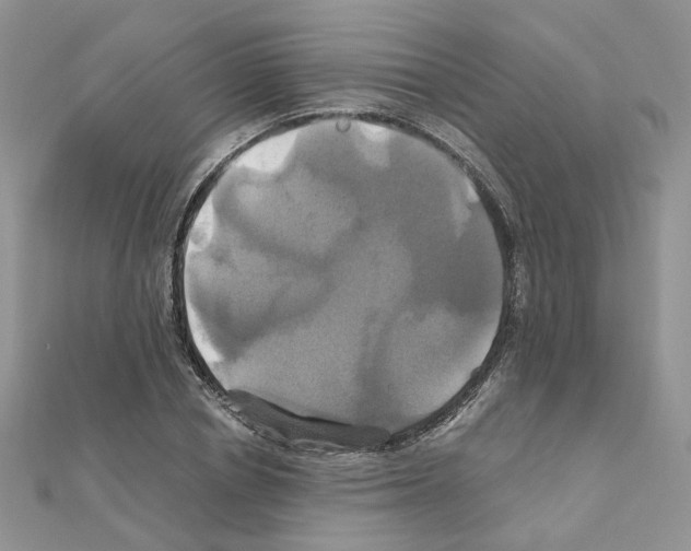 X0000110990834200907311008