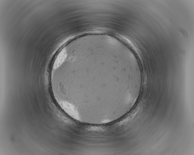 X0000110990835200907311008