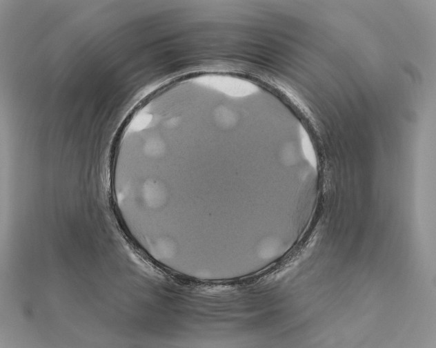 X0000110990837200907311008