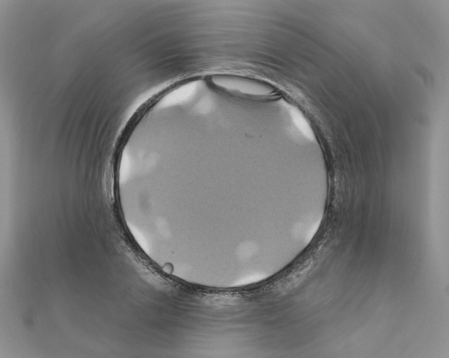 X0000110990838200907311008