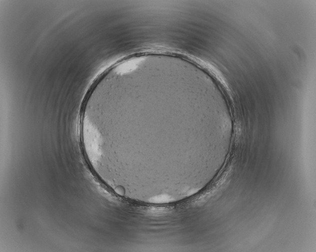 X0000110990839200907311008