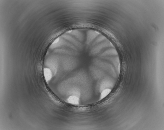 X0000110990841200907311008