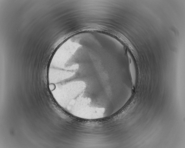X0000110990842200907311008