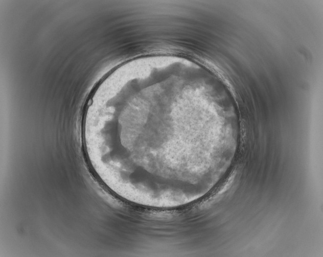 X0000110990843200907311008