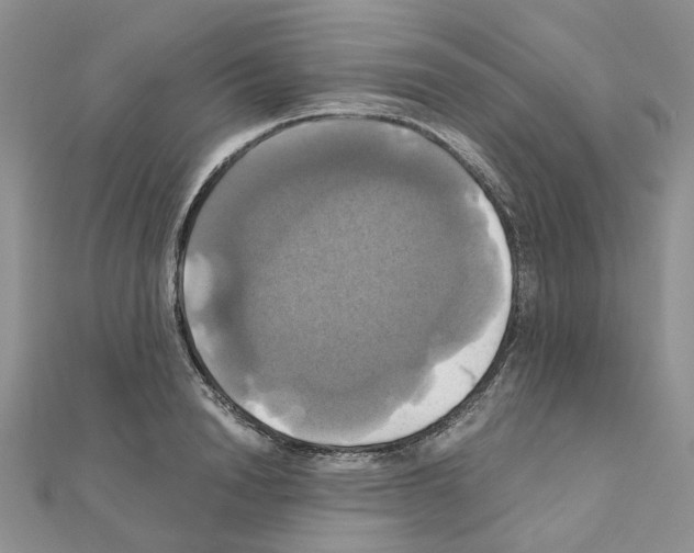 X0000110990846200907311008