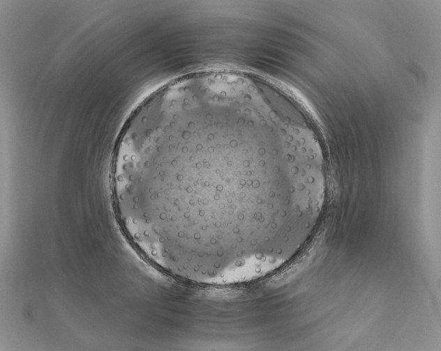 X0000110990847200907311008