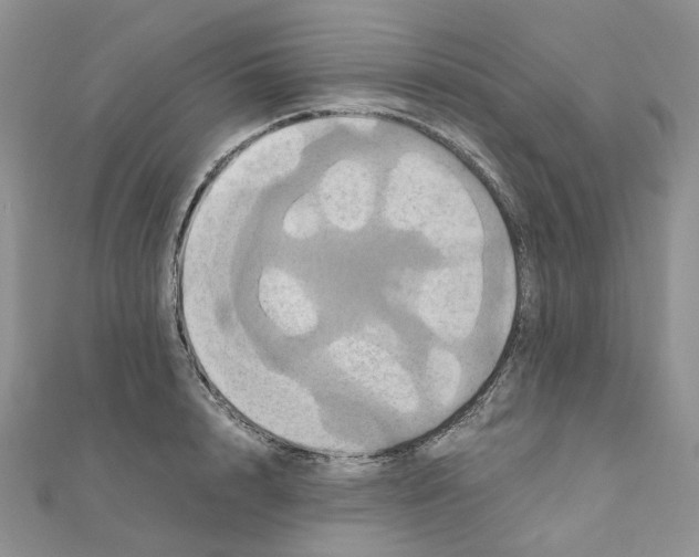 X0000110990848200907311008